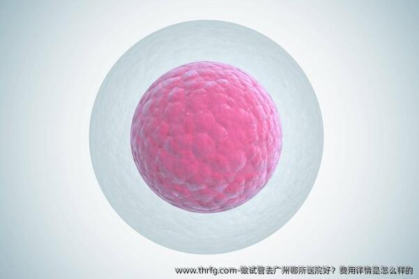 做试管去广州哪所医院好？费用详情是怎么样的