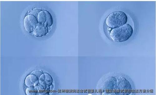 贺州糖尿病适合试管婴儿吗？糖尿病做试管的合适方案介绍