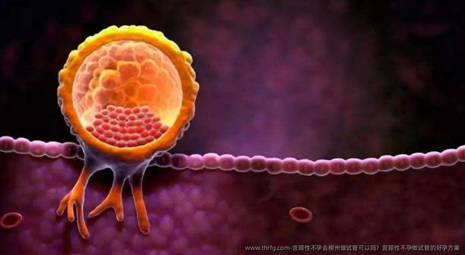 宫颈性不孕去柳州做试管可以吗？宫颈性不孕做试管的好孕方案