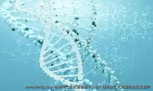 梧州做二代试管需要多少钱？梧州做二代试管的医院及费用
