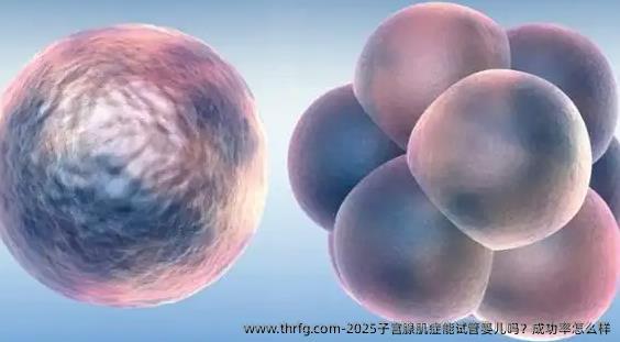 2025子宫腺肌症能试管婴儿吗？成功率怎么样
