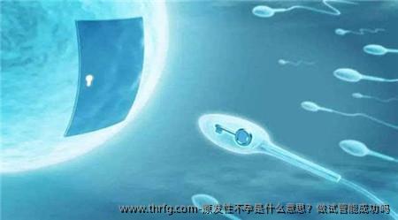 原发性不孕是什么意思？做试管能成功吗