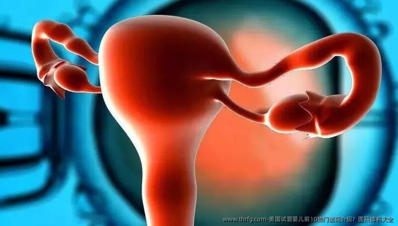 美国试管婴儿前10热门医院介绍？医院排名大全