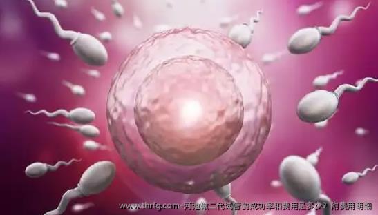 河池做二代试管的成功率和费用是多少？附费用明细