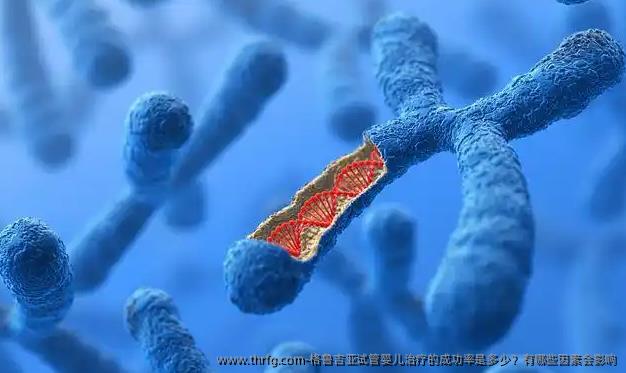 格鲁吉亚试管婴儿治疗的成功率是多少？有哪些因素会影响