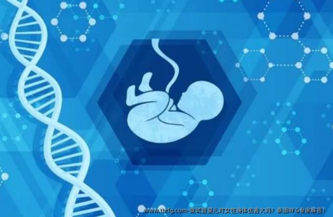 做试管婴儿对女性身体伤害大吗？泰国RFG专家解答！