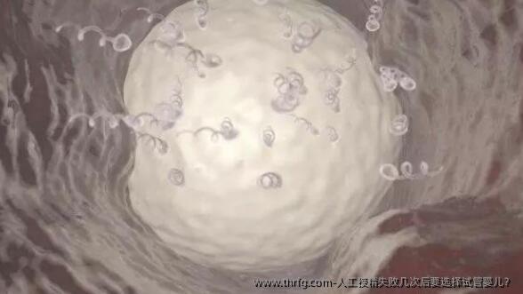 人工授精失败几次后要选择试管婴儿？