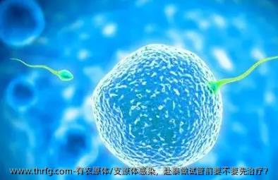 有衣原体/支原体感染，赴泰做试管前要不要先治疗？