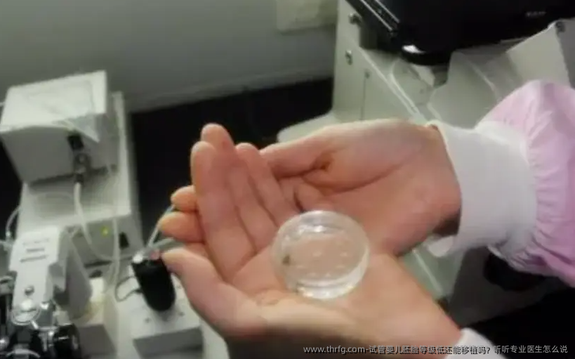 试管婴儿胚胎等级低还能移植吗？听听专业医生怎么说