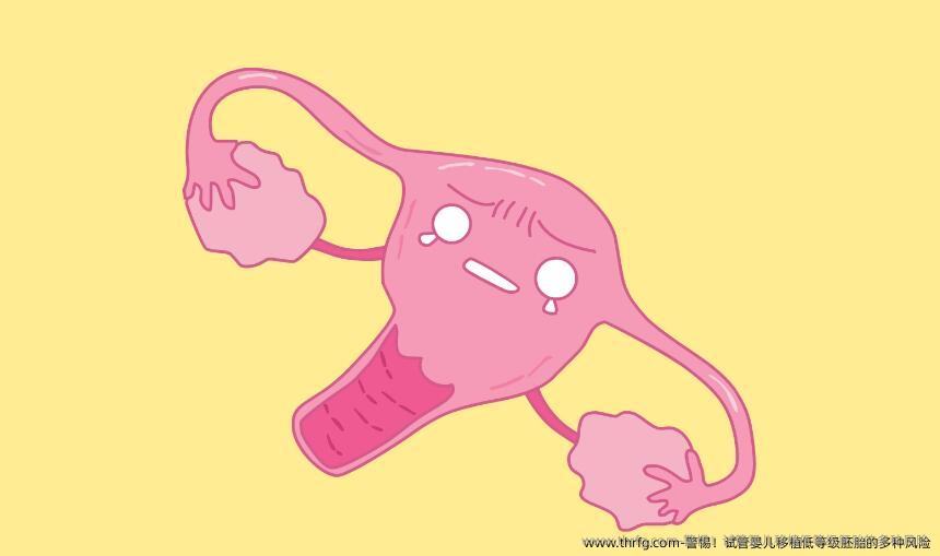 警惕！试管婴儿移植低等级胚胎的多种风险