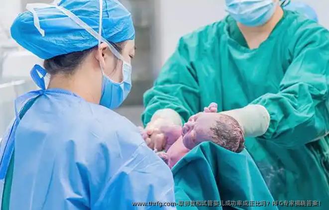 卵泡取出数和试管婴儿成功率成正比吗？RFG专家揭晓答案！