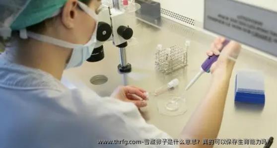雪藏卵子是什么意思？真的可以保存生育能力吗？
