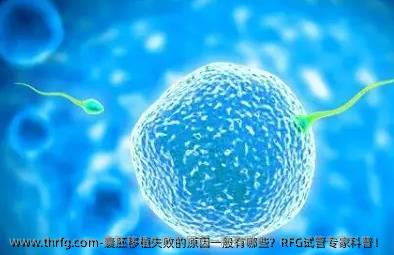 囊胚移植失败的原因一般有哪些？RFG试管专家科普！