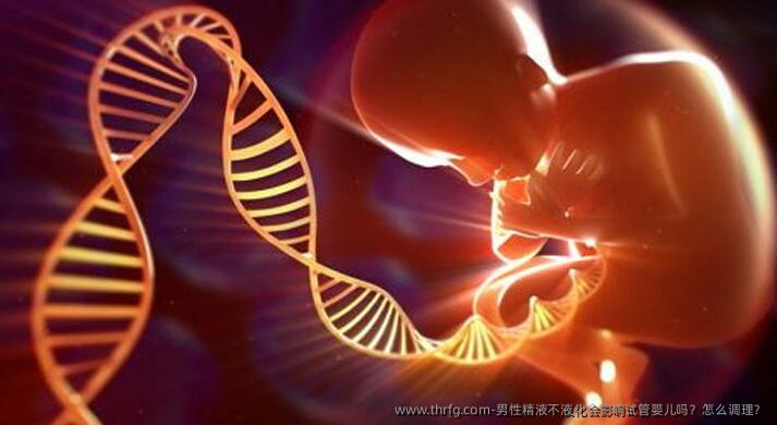 男性精液不液化会影响试管婴儿吗？怎么调理？
