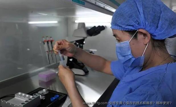 女性生育力保存的技术有哪些？哪种更好？