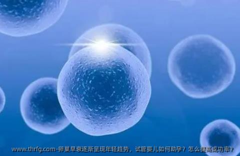 卵巢早衰逐渐呈现年轻趋势，试管婴儿如何助孕？怎么提高成功率？