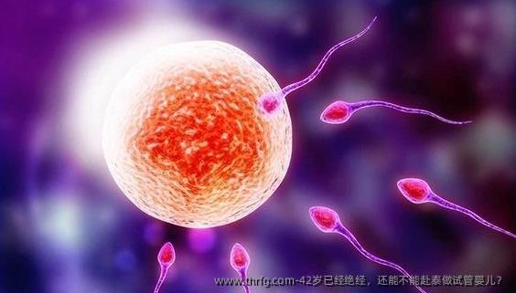 42岁已经绝经，还能不能赴泰做试管婴儿？
