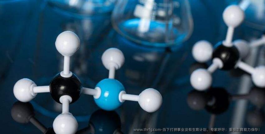 当下打拼事业没有生育计划，专家呼吁：重视生育能力保存！
