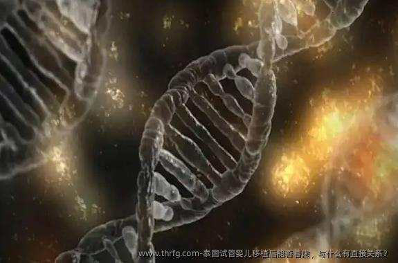 泰国试管婴儿移植后能否着床，与什么有直接关系？