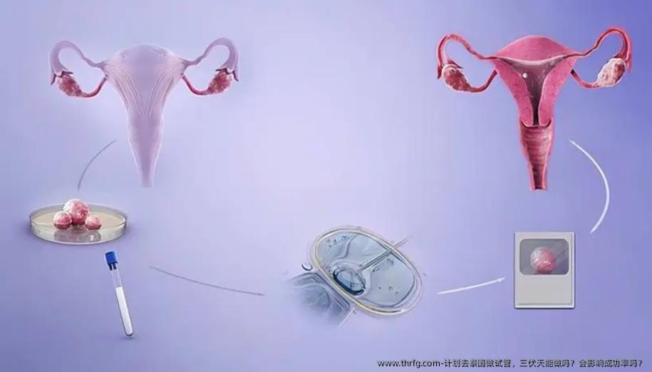计划去泰国做试管，三伏天能做吗？会影响成功率吗？
