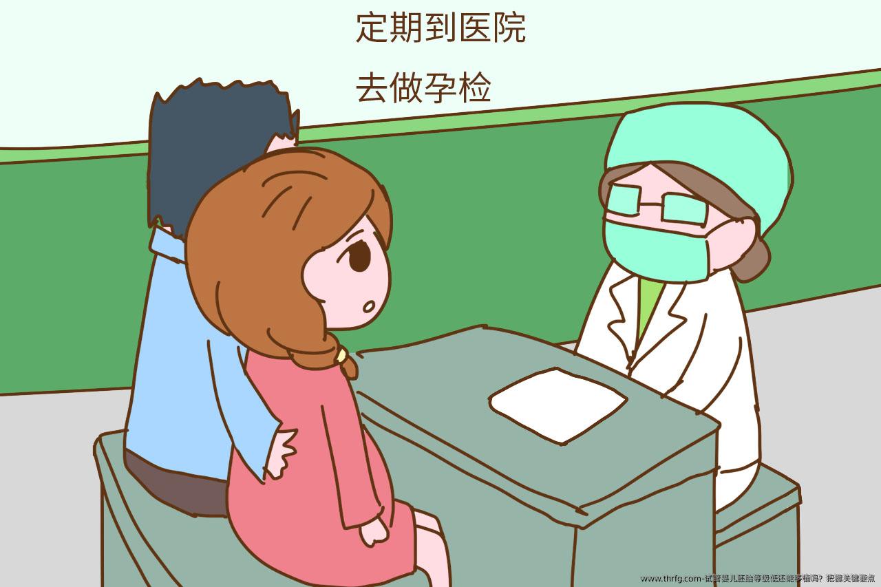 试管婴儿胚胎等级低还能移植吗？把握关键要点