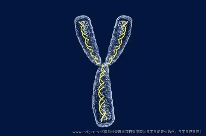 试管前检查哪些项目有问题的是不是都要先治疗，是不是很重要？