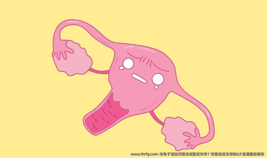 单角子宫如何提高试管成功率？附提高成功率的6大要素最新解析