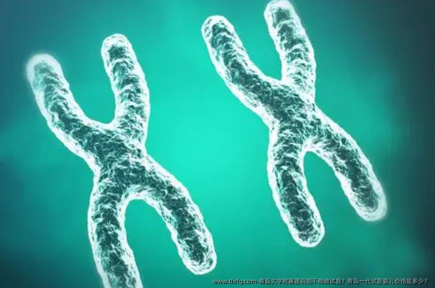 青岛大学附属医院能不能做试管？青岛一代试管婴儿价格是多少？