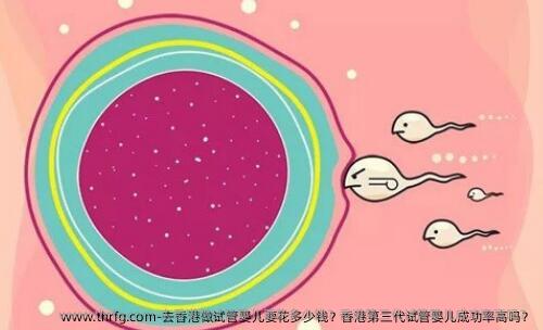 去香港做试管婴儿要花多少钱？香港第三代试管婴儿成功率高吗？