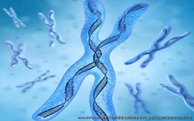 北医三院试管婴儿的价格是多少？北医三院做试管能保证生孩子吗