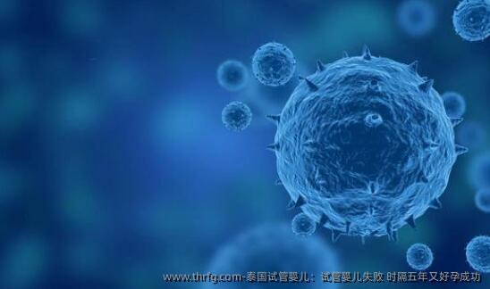 泰国试管婴儿：试管婴儿失败 时隔五年又好孕成功