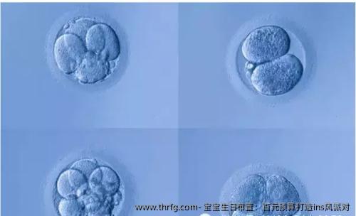 宝宝生日布置：百元预算打造ins风派对‌
