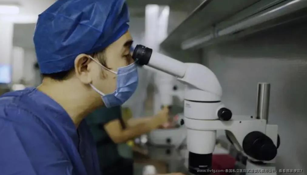 泰国私立医院试管婴儿费用公开，看看哪家便宜？