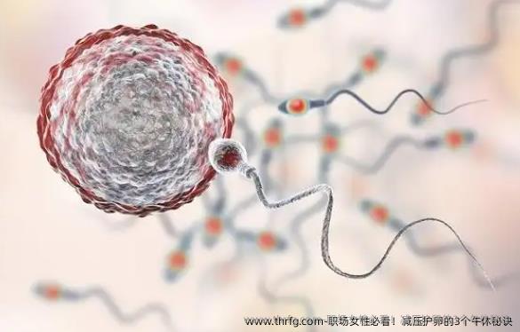 职场女性必看！减压护卵的3个午休秘诀‌