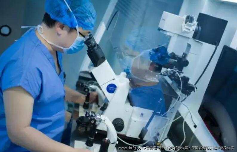 泰国试管婴儿促排经验分享？泰国试管婴儿卵泡取出流程分享