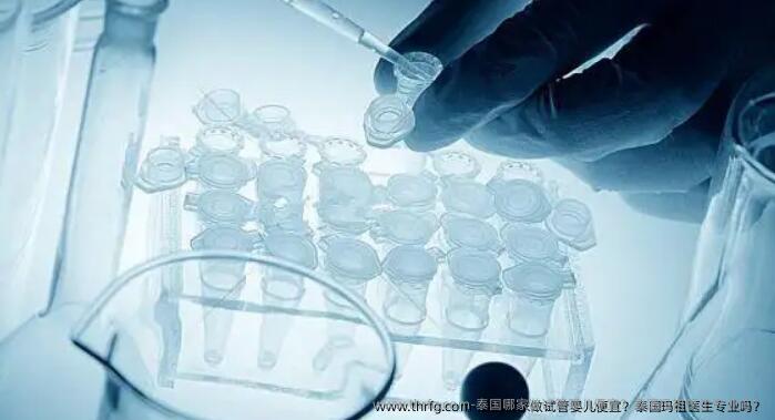 泰国哪家做试管婴儿便宜？泰国玛祖医生专业吗？