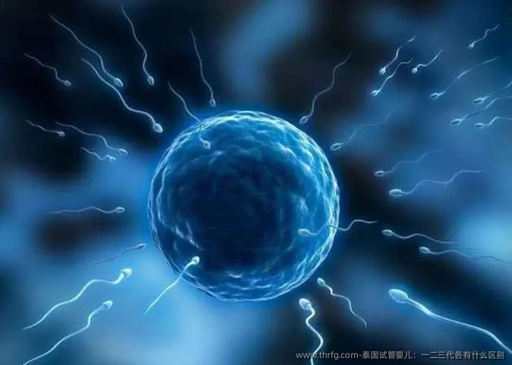 泰国试管婴儿：一二三代各有什么区别