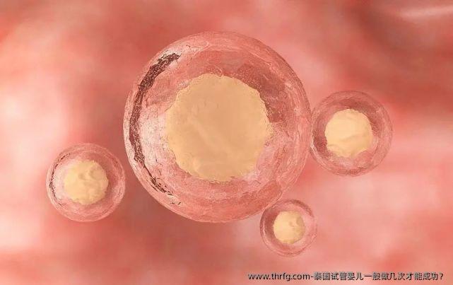 泰国试管婴儿一般做几次才能成功？