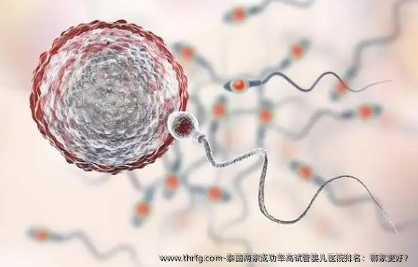 泰国两家成功率高试管婴儿医院排名：哪家更好？