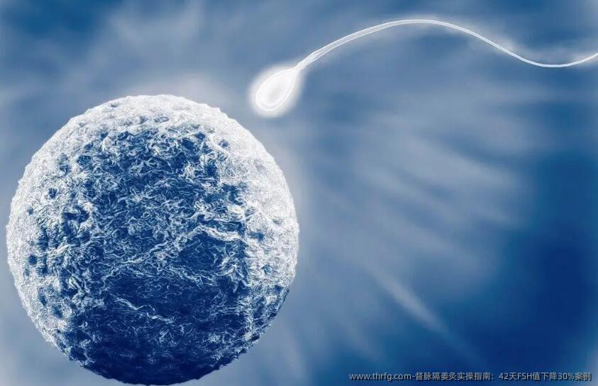 ‌督脉隔姜灸实操指南：42天FSH值下降30%案例‌