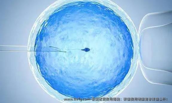 泰国试管费用揭晓：详细费用明细清单详细公开！
