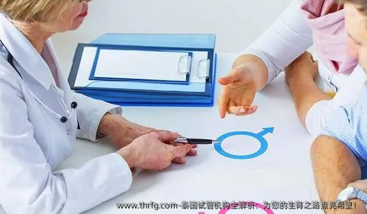 泰国试管机构全解析：为您的生育之路点亮希望！