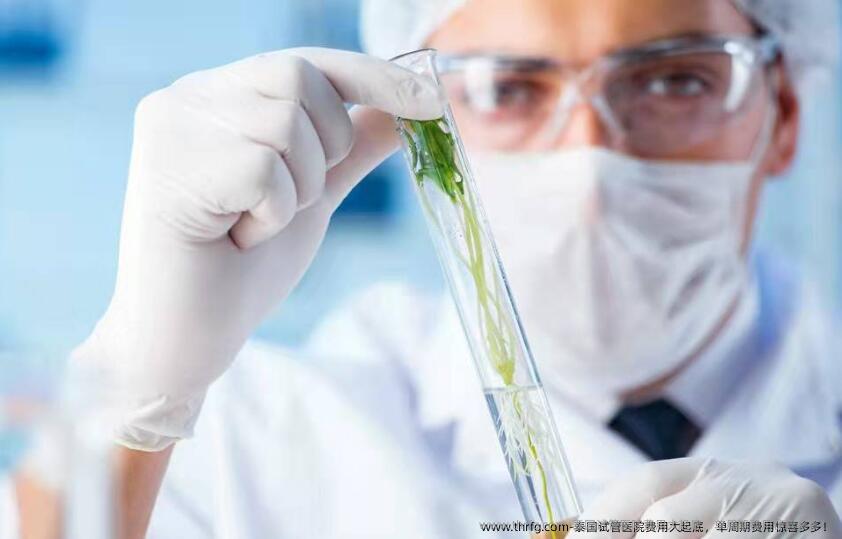 泰国试管医院费用大起底，单周期费用惊喜多多！
