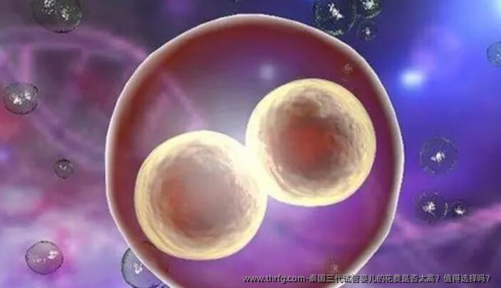 泰国三代试管婴儿的花费是否太高？值得选择吗？