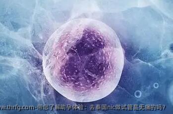 带您了解助孕体验：去泰国nic做试管是无痛的吗？