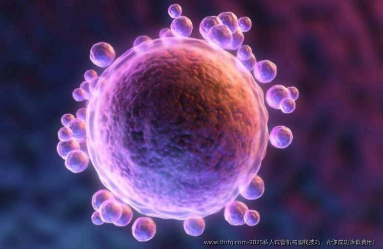 2025私人试管机构省钱技巧，帮你成功降低费用！