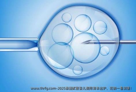 2025泰国试管婴儿费用清单出炉，花销一看就懂！