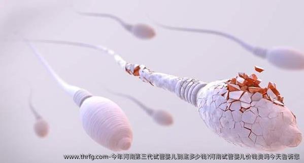 今年河南第三代试管婴儿到底多少钱?河南试管婴儿价钱贵吗今天告诉您