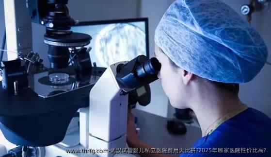 武汉试管婴儿私立医院费用大比拼?2025年哪家医院性价比高?