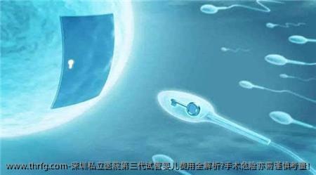 深圳私立医院第三代试管婴儿费用全解析?手术危险亦需谨慎考量!